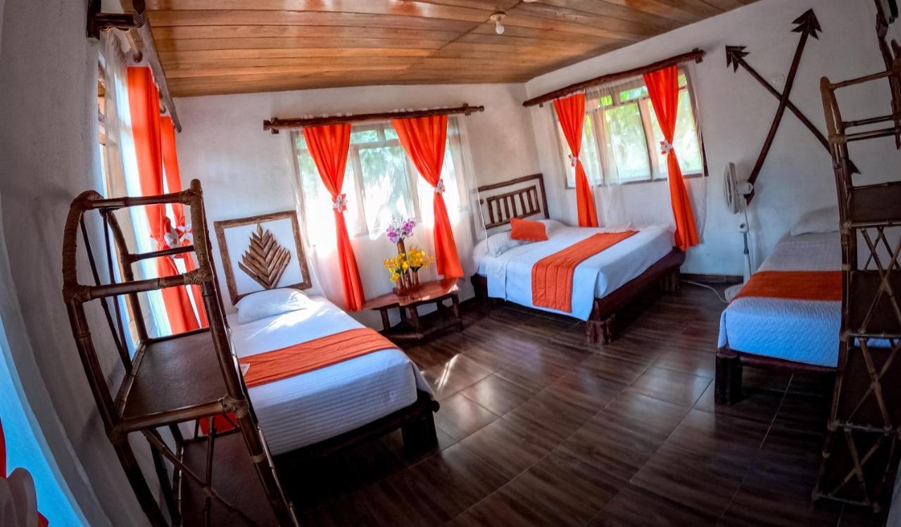 Suchipakari Amazon Eco -Lodge & Jungle Reserve Puerto Misahuallí المظهر الخارجي الصورة