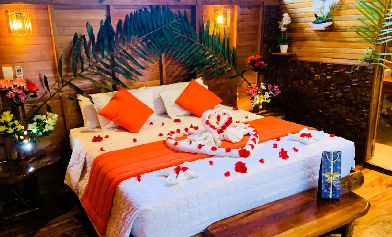 Suchipakari Amazon Eco -Lodge & Jungle Reserve Puerto Misahuallí المظهر الخارجي الصورة