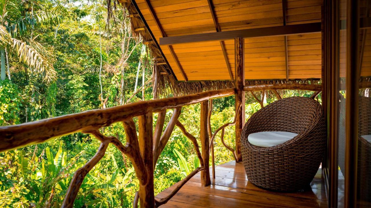 Suchipakari Amazon Eco -Lodge & Jungle Reserve Puerto Misahuallí المظهر الخارجي الصورة
