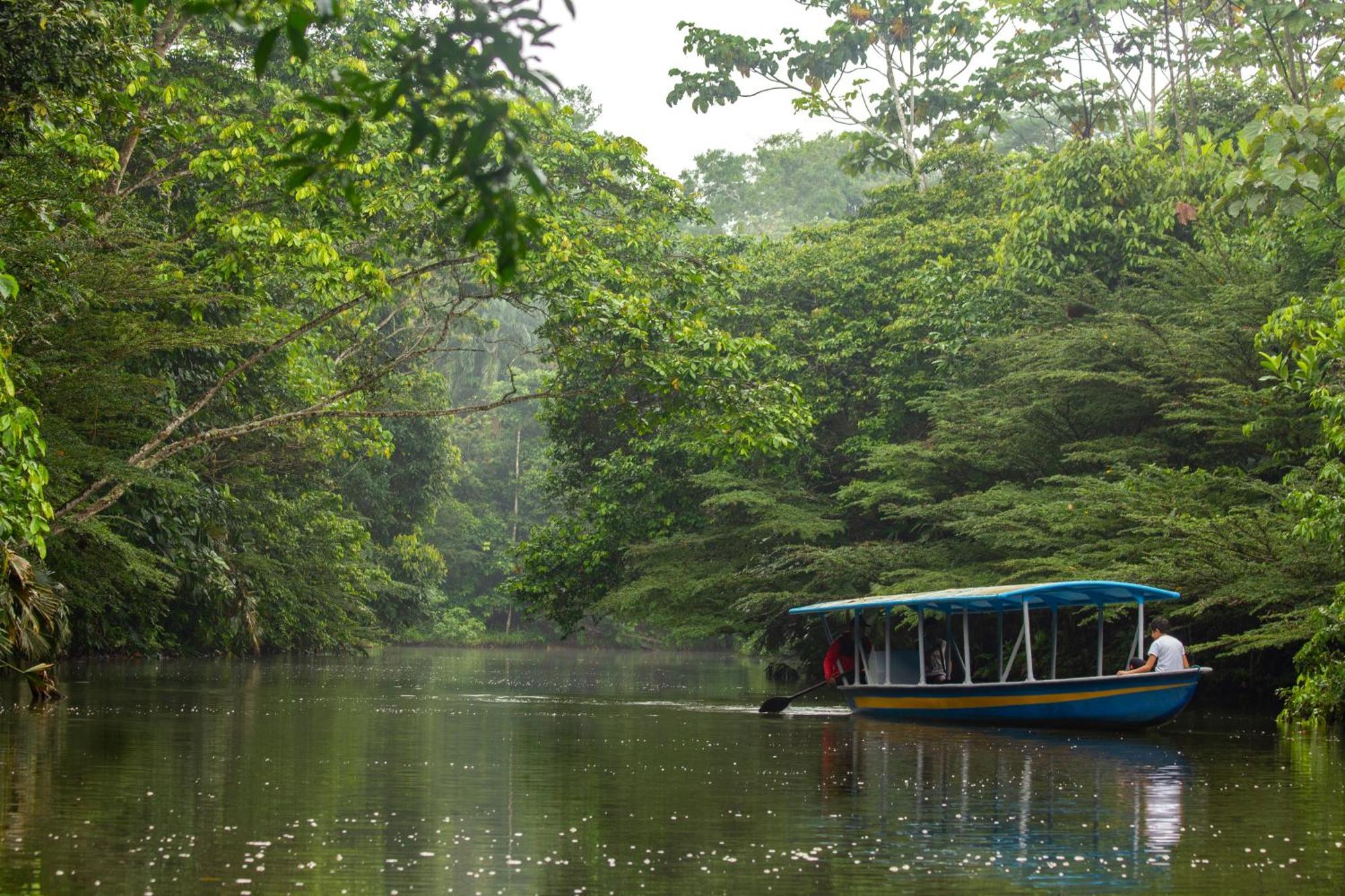 Suchipakari Amazon Eco -Lodge & Jungle Reserve Puerto Misahuallí المظهر الخارجي الصورة