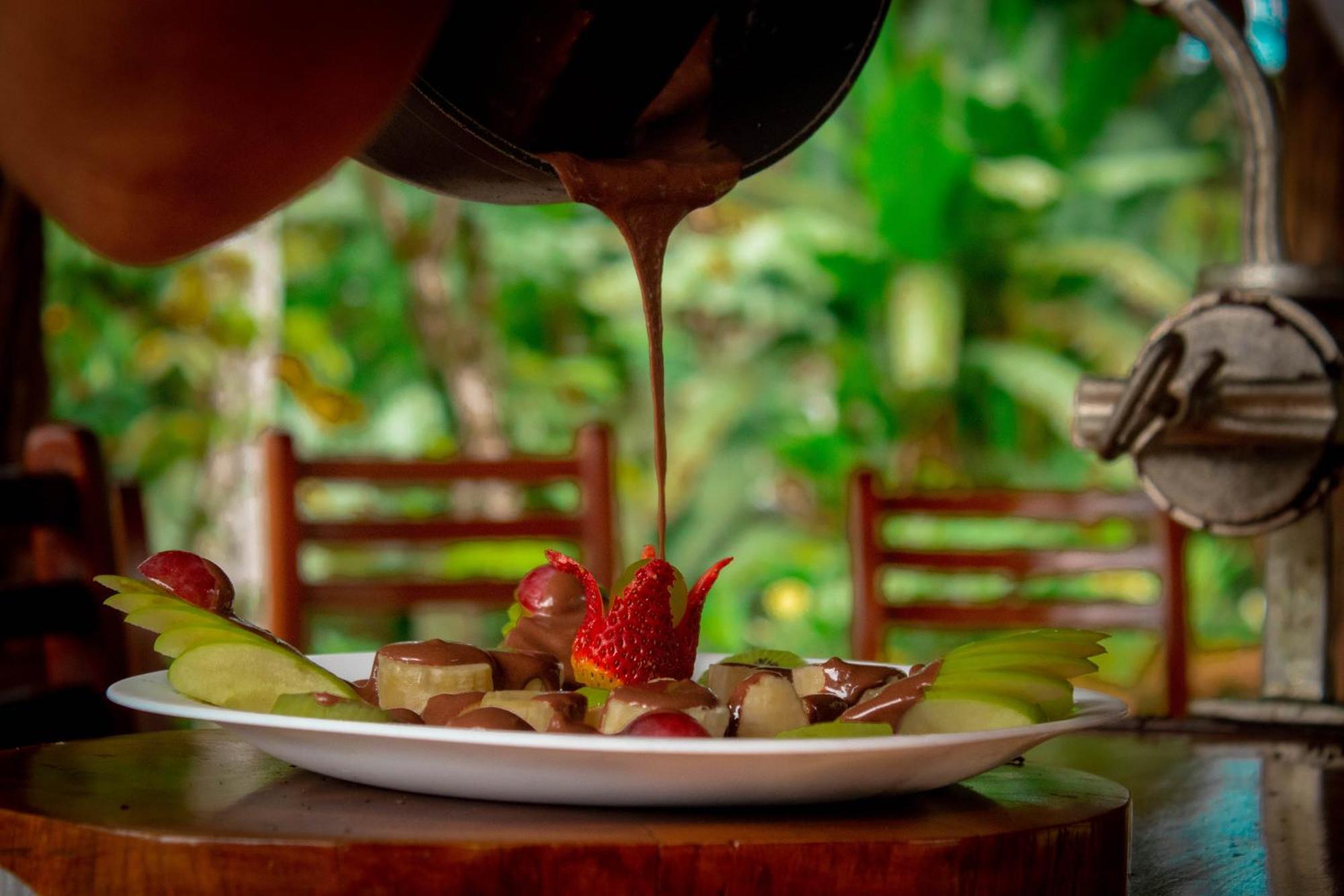 Suchipakari Amazon Eco -Lodge & Jungle Reserve Puerto Misahuallí المظهر الخارجي الصورة
