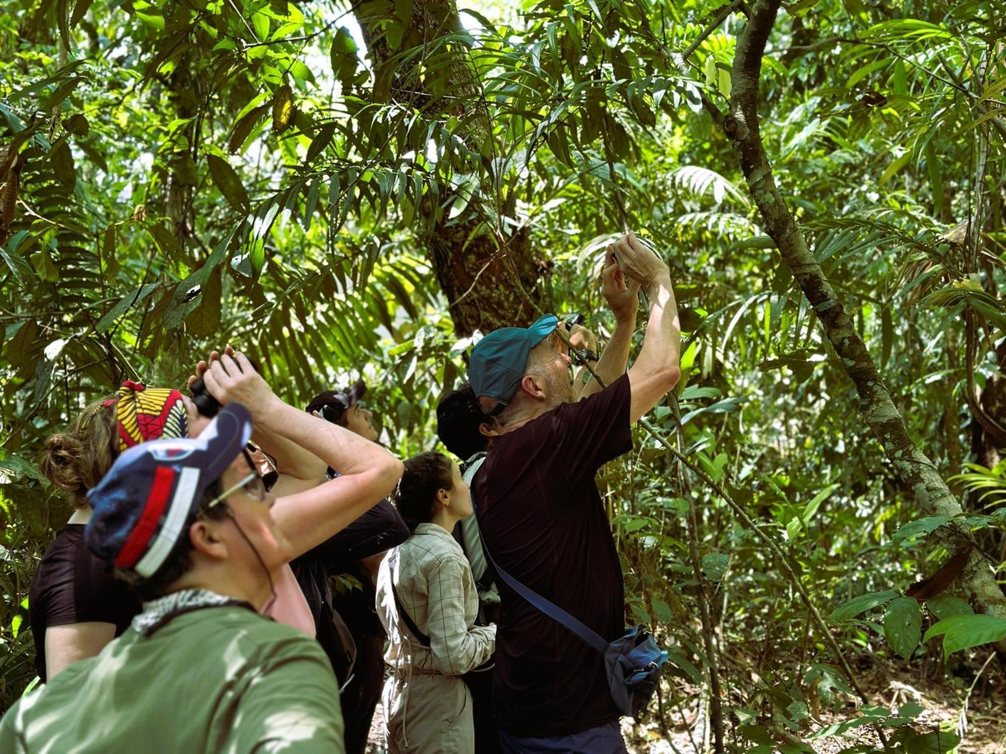 Suchipakari Amazon Eco -Lodge & Jungle Reserve Puerto Misahuallí المظهر الخارجي الصورة